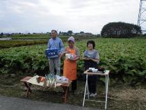 ウェブ産業祭　妻沼生産者の会