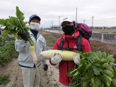 みんなで農業体験・料理教室　収穫の写真2