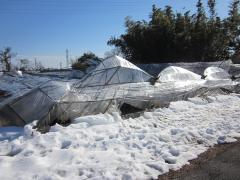 大雪被害の写真