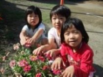 第3回保育所花いっぱい写真4