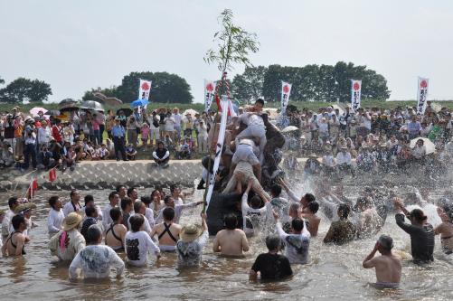 葛和田大杉神社のあばれ神輿