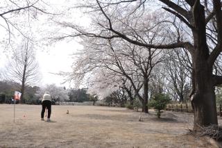 駒形公園