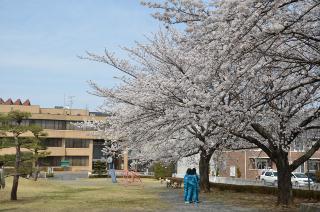 原谷公園