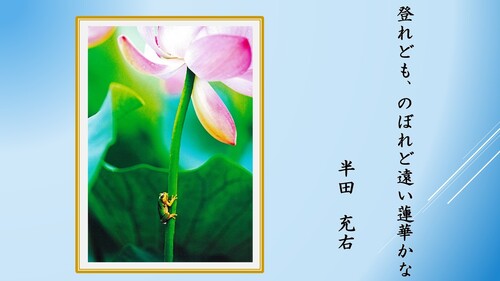 一般の部17
