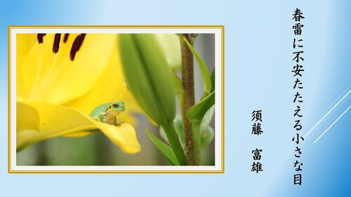 一般の部9