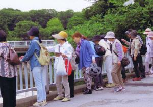 写真2