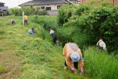 熊谷市ムサシトミヨをまもる会河川清掃